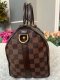 LOUIS VUITTON SPEEDY BAND 25 DAMIER