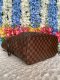กระเป๋า Louis Vuitton Neverfull MM