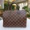 Speedy 25 Damier Ebene