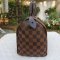 Speedy 25 Damier Ebene