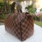 Speedy 25 Damier Ebene
