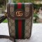 Gucci Ophidia mini crossbody bag