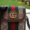 Gucci Ophidia mini crossbody bag