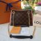 LOUIS VUITTON Monogram Surene BB Rose Poudre