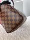 Louis Vuitton Damier Speedy 25