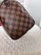 Louis Vuitton Damier Speedy 25