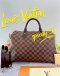 Louis Vuitton Speedy Bandoulière 30 Damier