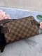 Louis Vuitton Damier Bumbag Brooklyn