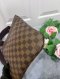 Louis Vuitton Damier Ebene Pochette Bosphore