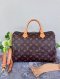 Louis Vuitton Speedy 30 Monogram