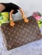 Louis Vuitton Speedy 30 Monogram