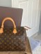 Louis Vuitton Speedy Monogram 30