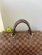 Louis Vuitton Speedy 30 Damier
