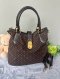 LV Monogram Mini Lin Classic Tote & Crossbody