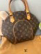 Louis Vuitton Monogram Ellipse