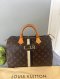 LV Speedy 30 Monogram