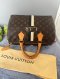 LV Speedy 30 Monogram