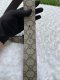 Gucci Belt Men Double G Silver Dasher