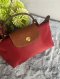 Longchamp Le Pliage Mini