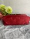 Longchamp Le Pliage Mini