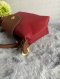 Longchamp Le Pliage Mini