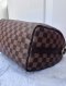 Louis Vuitton Speedy 25