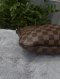 LV Bloomsbury PM Damier Ebene