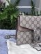 Gucci Dionysus GG
