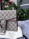 Gucci Dionysus GG