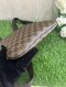 Louis Vuitton Damier Ebene Pochette Bosphore
