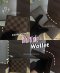 Louis Vuitton Damier Multiple Wallet