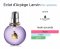LANVIN ECLAT D'ARPEGE EDP