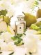 JO MALONE English Pear & Freesia Cologne