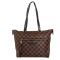 Louis Vuitton Damier Canvas Iena