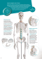 Anatomy Medical - ERLER ZIMMER