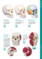 Anatomy Medical - ERLER ZIMMER