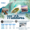 แพ็คเกจทัวร์ มัลดิฟส์ Adaaran Prestige Vadoo