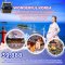 Wonderful Korea บินหรู FULL SERVICE พักโรงแรมใจกลางแหล่งช้อปปิ้ง นั่งเคเบิลคาร์ ชมทะเลแหวกสู่เกาะเจบูโด วิวสุดปัง!