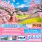 JVZ274 Kawii Flower TOKYO FUJI KAWAZU SAKURA 5 วัน 3 คืน