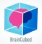 The BrainCubed Brainwave Experiment Question System