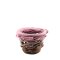 Plant pot