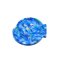 Fish Coaster