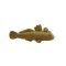 Mudskippers Keychain