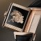 JAEGER-LECOULTRE Reverso Tribute Enamel Horse