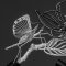BOUCHERON Carte Blanche 