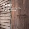 CASIO Casio Vintage Pop-Up at Vanich House