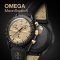 OMEGA MoonSwatch 