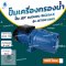 ปั๊มน้ำแนวนอน BIOMAX รุ่น JET100 (1HP)