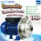 ปั๊มหอยโข่งสแตนเลส PUMP EBARA CDXM-90/10 1.0HP 220V