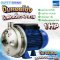 ปั๊มหอยโข่งสแตนเลส PUMP EBARA CDXM-90/10 1.0HP 220V